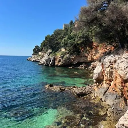 شقة - Amazing Flat To 10 Min To Sea - Garden